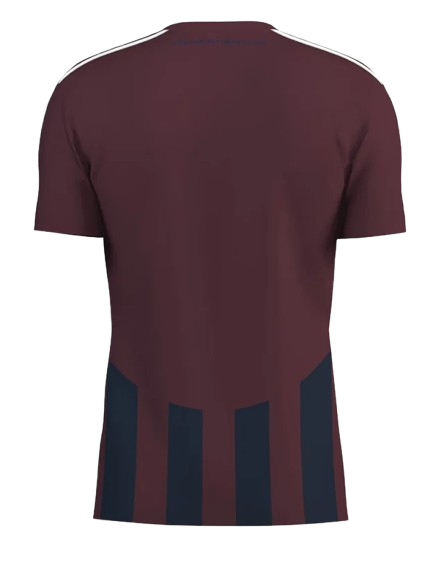 Pec Zwolle Special Shirt 2025-2026